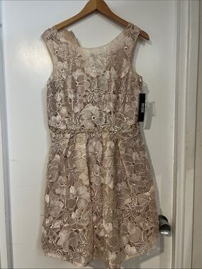 Decode 1.8 Blush Floral Lace Party Dress with Beaded Waist